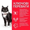 Сухий корм для зрілих котів від 7 років Hill's Science Plan Mature Adult 7+ Sterilised з куркою 1.5 кг - 3