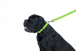 Повідок для собак водостійкий WAUDOG Waterproof, Ш 20 мм, Дл 122 см, салатовий - 4