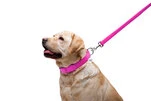 Повідок для собак шкіряний WAUDOG Glamour, Ш 25 мм, Дл 122 см, рожевий - 4