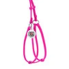 Шлея з повідцем для собак шкіряна WAUDOG Glamour з QR паспортом, кругла, Д 6 мм, А 26-46 см, В 30-50 см, рожевий - 2