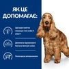 Сухий корм Hill's Prescription Diet Canine Z/D &ndash; для дорослих собак, схильних до харчових алергій 3 кг - 7
