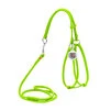 Шлея з повідцем для собак шкіряна WAUDOG Glamour з QR паспортом, кругла, Д 6 мм, А 26-46 см, В 30-50 см, салатовий - 1