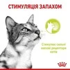 ПАК.Вологий корм Royal Canin SENSORY SMELL JELLY (Желе) для дорослих котів вибагливих у харчуванні 12 шт по 85 г - 3