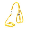 Шлея з повідцем для собак шкіряна WAUDOG Glamour з QR паспортом, кругла, Д 6 мм, А 42-60 см, В 46-64 см, жовта - 1