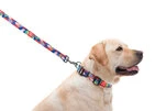 Поводок для собак нейлоновый WAUDOG Nylon, рисунок "Витраж", Ш 20 мм, Дл 122 см - 3