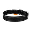 Нашийник "Dog Extremе" нейлоновий подвійний зі світловідбиваючою вставкою (ширина 20мм, довжина 30-40см), чорний - 3
