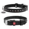Ошейник для собак кожаный WAUDOG Glamour с QR паспортом, с клеевыми стразами, Ш 12 мм, Дл 21-29 см, черный - 1