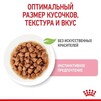 ПАК. Вологий корм Royal Canin KITTEN INSTINCTIVE IN GRAVY (Соус) для кошенят 12шт по 85 г - 6