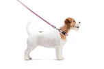 Поводок для собак нейлоновый WAUDOG Nylon, светящийся/светоотражающий, Ш 15 мм, Дл 122 см, розовый - 4