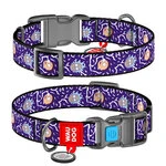 Ошейник для собак нейлоновый WAUDOG Nylon c QR паспортом, рисунок "Рик и Морти 2", пластиковый фастекс, S, Ш 15 мм, Дл 23-35 см