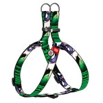 Анатомічна шлея для собак WAUDOG Nylon з QR паспортом, малюнок "Загадочник", металевий фастекс, Ш 20 мм, Дл 50-80 см