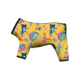 Дождевик для собак WAUDOG Clothes рисунок "Рик и Морти 3", S32, В 47-50 см, С 35-38 см