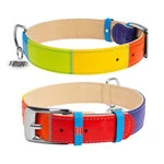 Ошейник для собак кожаный WAUDOG Glamour с QR паспортом, "Радуга", Ш 35 мм, Дл 46-60 см