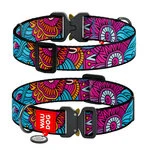 Нашийник для собак нейлоновий WAUDOG Nylon з QR паспортом, малюнок "Літо", металевий пряжка-фастекс, XXL, Ш 35 мм, Дл 43-70 см