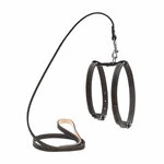 Шлея "CoLLaR" с поводком для мелких собак (ширина 14мм, А:27-35см,В:35-45см, длина 122см), черный