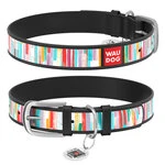 Ошейник WAUDOG Design с рисунком "Яркие полоски", премиум кожа, металлическая пряжка (ширина 20 мм, длина 30-39 см), черный
