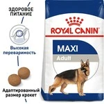 Сухий корм Royal Canin MAXI ADULT для дорослих собак Великих порід 4 кг