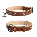 Ошейник для собак кожаный WAUDOG Soft с QR паспортом, металлические украшения, Ш 25 мм, Дл 38-47 см