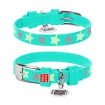 Нашийник для собак шкіряний WAUDOG Glamour з QR паспортом, візерунок "Зірочка", світиться/світловідбиваючий, Ш 12 мм, Дл 19-25 см, ментоловий