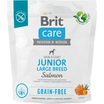 Корм для молодых собак крупных пород Brit Care Dog Grain-free Junior Large Breed беззерновой с лососем, 1 кг