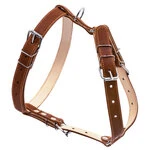 Шлея "CoLLaR" двойная  (ширина 25мм, А:49-68см, В:68-80см), коричневый