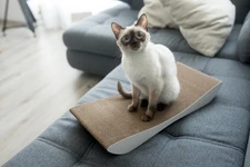 Когтеточка-лежанка Dream Say Meow - 57х24х7см