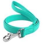 Поводок для собак кожаный WAUDOG Glamour, Ш 25 мм, Дл 122 см, ментоловый