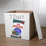 ПАК. Вологий корм Royal Canin APPETITE CONTR CIG (Соус) для дорослих кішок, контроль випрошування корму 12 шт по 85 г