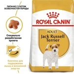 Сухой корм Royal Canin JACK RUSSEL ADULT для взрослых собак породы Джек Рассел Терьер 7.5 кг