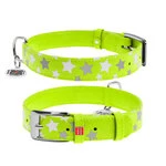 Нашийник для собак шкіряний WAUDOG Glamour з QR паспортом, візерунок "Зірочка", світловий/світловідбиваючий, Ш 25 мм, Дл 38-49 см, салатовий