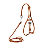 Шлея з повідцем для собак шкіряна WAUDOG Soft з QR паспортом, кругла, Д 6 мм, А 26-46 см, В 30-40 см, коричнева