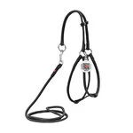 Шлея з повідцем для собак шкіряна WAUDOG Soft з QR паспортом, кругла, Д 6 мм, А 26-46 см, В 30-40 см, чорна