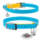 Ошейник для котов кожаный WAUDOG Glamour с QR паспортом, "Colors of freedom", XXS, Ш 9 мм, Дл 22-30 см