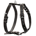 Шлея "CoLLaR" одинарная  (ширина 25мм, А:49-68см, В:68-80см), черный