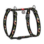 Анатомічний H-подібний нашийник для собак WAUDOG Nylon з QR паспортом, малюнок "Рік і Морті 3", пластиковий фастекс, L, Ш 25 мм, А 50-90 см, В 60-100 см