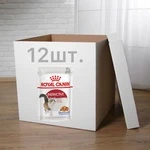 ПАК.Паучи Royal Canin INSTINCTIVE IN JELLY консервований корм для котів у желе 12шт по 85г