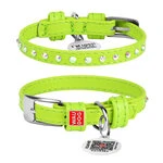 Нашийник для собак шкіряний WAUDOG Glamour з QR паспортом, з клейовими стразами, Ш 9 мм, Дл 19-25 см, салатовий
