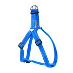 Шлея "Dog Extremе" нейлонова регульована (ширина 25мм, В:60-90см), блакитна