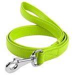 Повідець для собак шкіряний WAUDOG Glamour, Ш 25 мм, Дл 122 см, салатовий