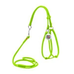 Шлея з повідцем для собак шкіряна WAUDOG Glamour з QR паспортом, кругла, Д 6 мм, А 26-46 см, В 30-50 см, салатовий