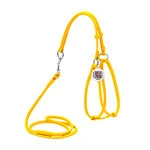 Шлея з повідцем для собак шкіряна WAUDOG Glamour з QR паспортом, кругла, Д 6 мм, А 42-60 см, В 46-64 см, жовта