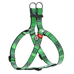 Анатомічний нашийник для собак WAUDOG Nylon з QR паспортом, малюнок "Етно зелений", пластиковий фастекс, Ш 20 мм, Дл 50-80 см