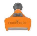 Грумінг для собак — професійний догляд, краса й комфорт щодня