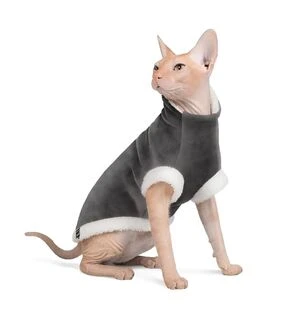 Одежда для кошек — стиль и тепло для домашних любимцев