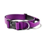 Поводки и ошейники для собак — выбор для прогулок и тренировок