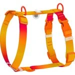 Удобные и надёжные шлейки для собак — максимум комфорта на каждой прогулке