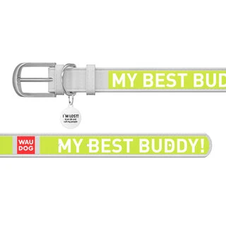 Ошейник WAUDOG Design с рисунком "Друг", премиум кожа, металлическая пряжка (ширина 12 мм, длина 19-25 см), белый