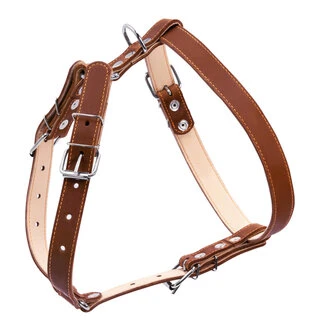 Шлея "CoLLaR" двойная  (ширина 25мм, А:49-68см, В:68-80см), коричневый