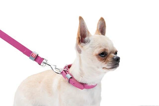 Поводок для собак кожаный WAUDOG Classic, Ш 14 мм, Дл 122 см, розовый