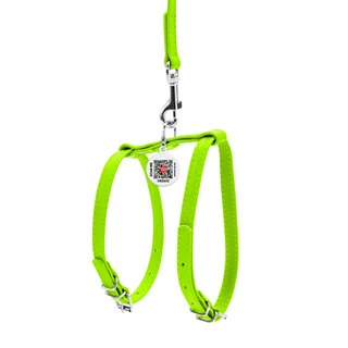 Нашийник з повідцем для собак шкіряний WAUDOG Glamour з QR паспортом, Ш 9 мм, А 20-30 см, В 30-40 см, салатовий